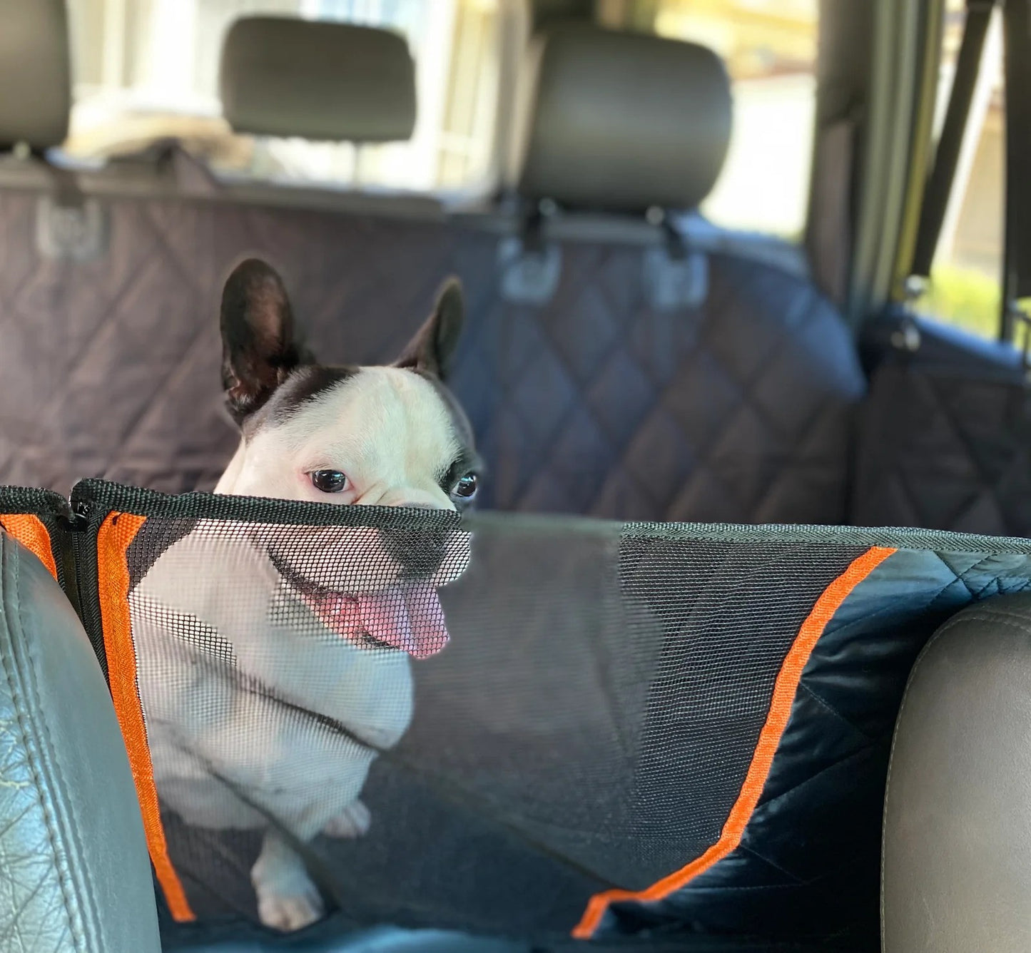 Aivac™ Premium Hammock Pet Car Seat Cover
