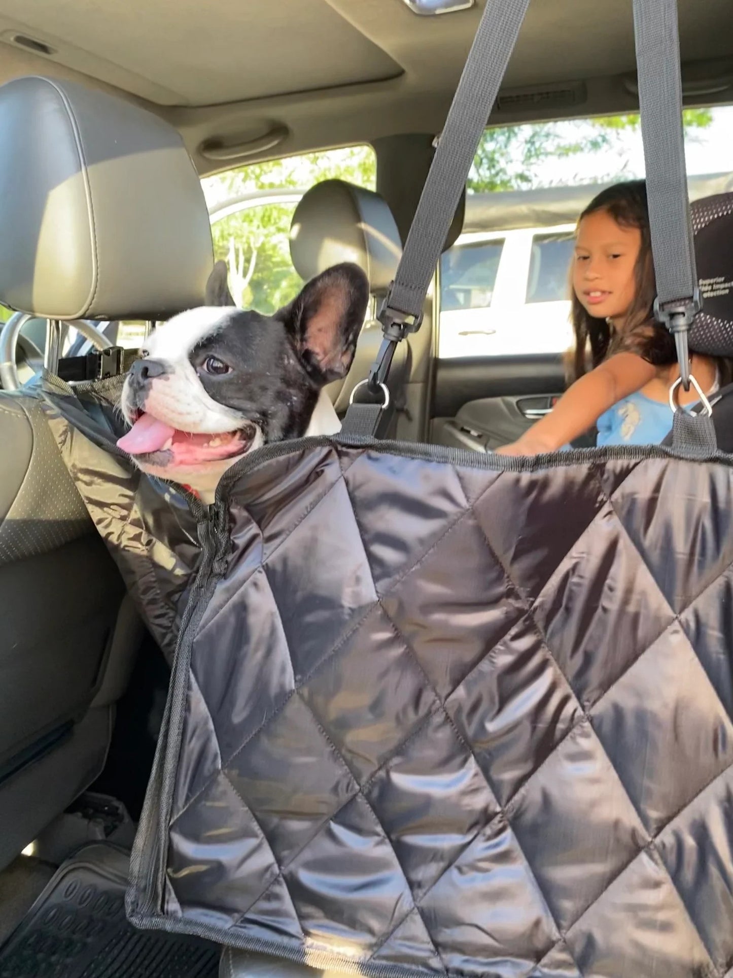Aivac™ Premium Hammock Pet Car Seat Cover