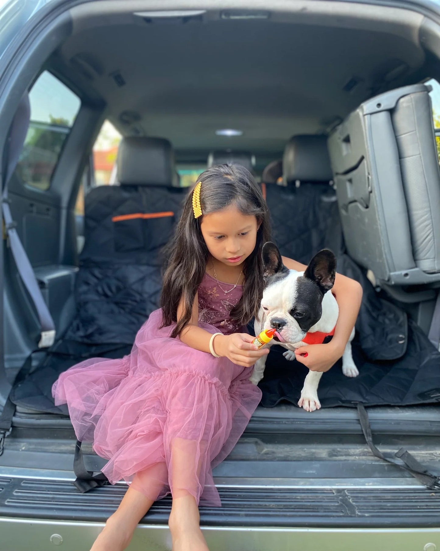 Aivac™ Premium Hammock Pet Car Seat Cover