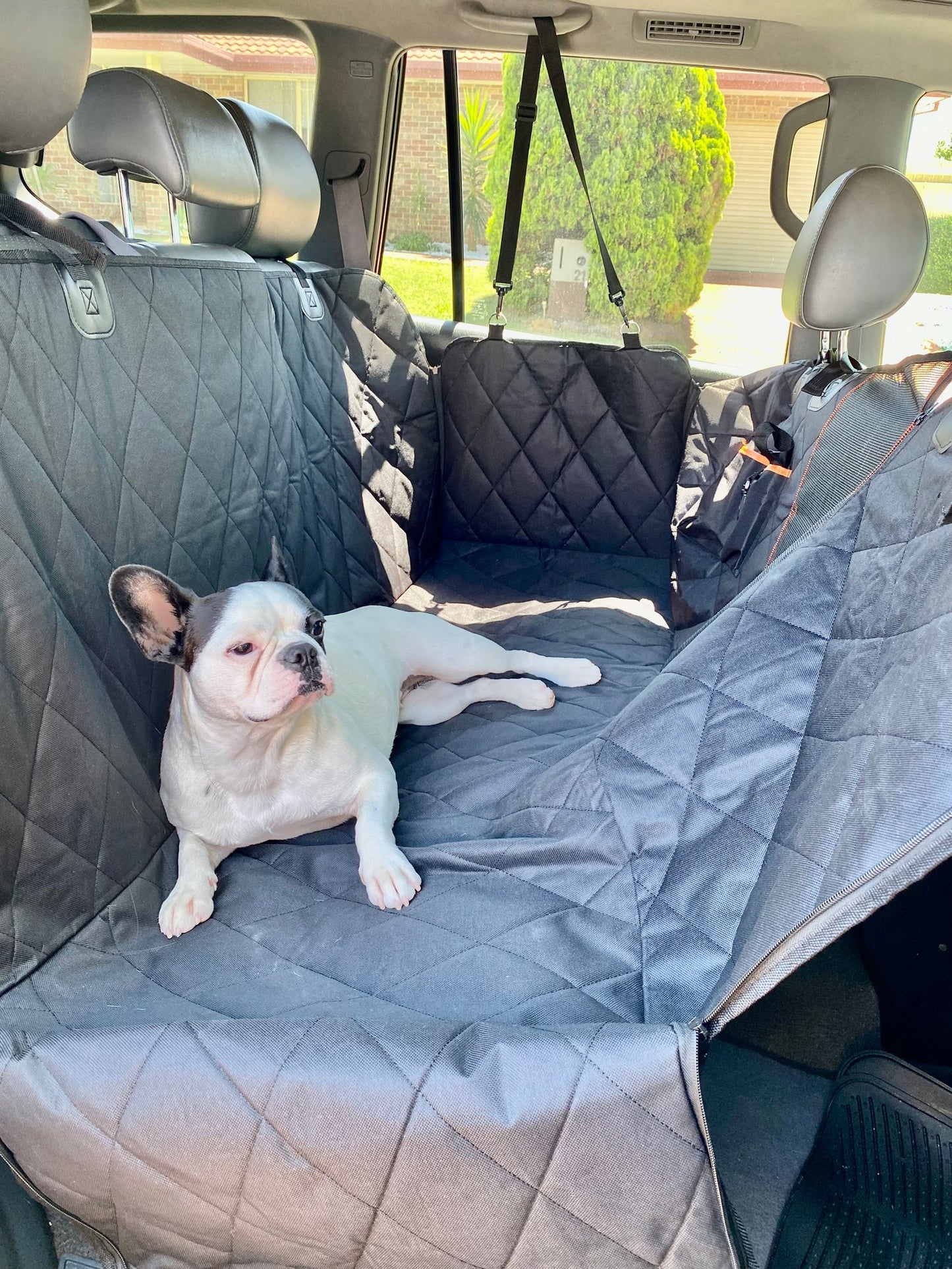 Aivac™ Premium Hammock Pet Car Seat Cover